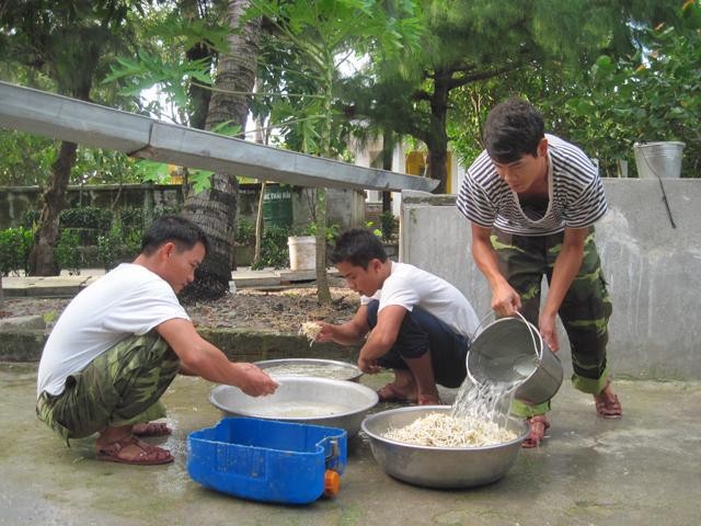 Soldiers on Nam Yet island make beansprouts (File photo:dangcongsan.vn)